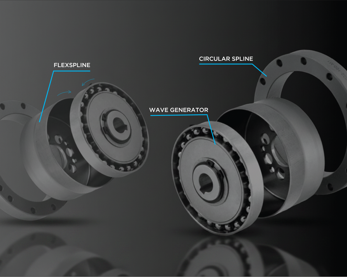 Lifetime Series Gearheads